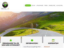 Tablet Screenshot of drive-in.se